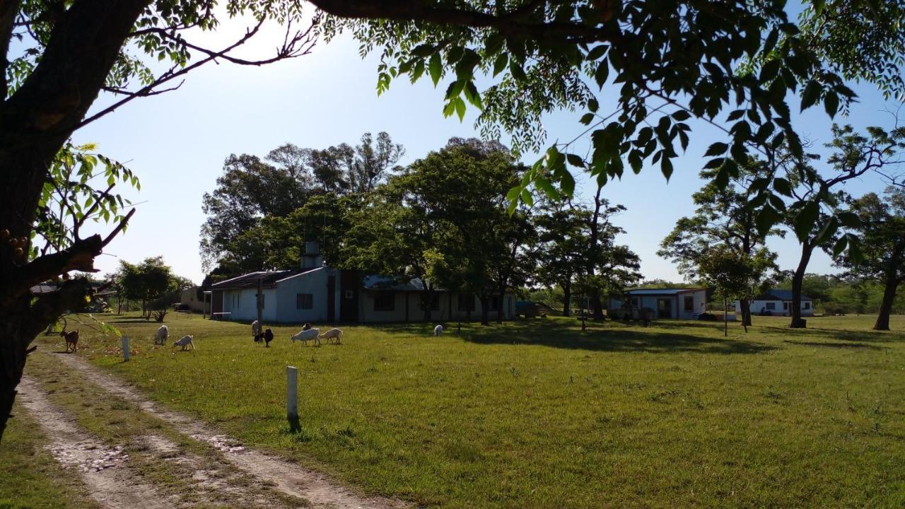 Los Arboles, Casa Completa A 5 Minutos Del Aeropuerto Ezeiza Zewnętrze zdjęcie